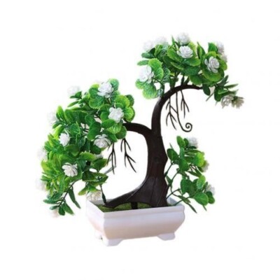 sakura bonsai tree Cherry Blossom Bonsai Silk Tree