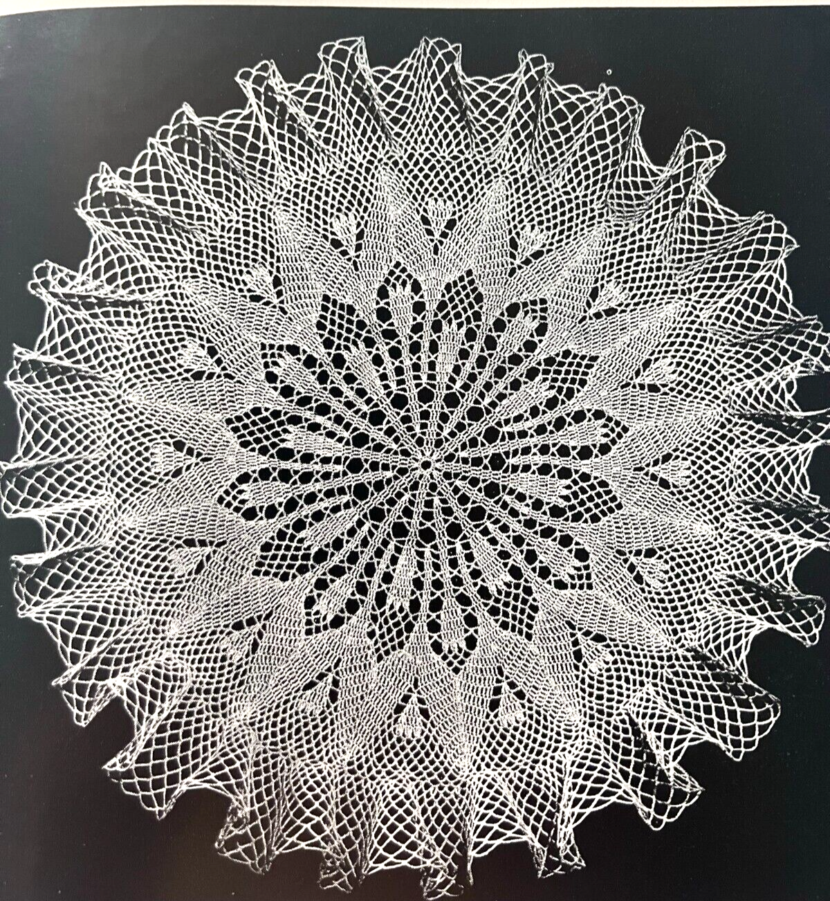 Picture 5 of 23