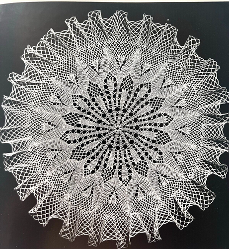 Woven Filet & Lace Crochet Pattern Book Psalm 23 Caravel Doilies Bird Cage Cover - Picture 5 of 23