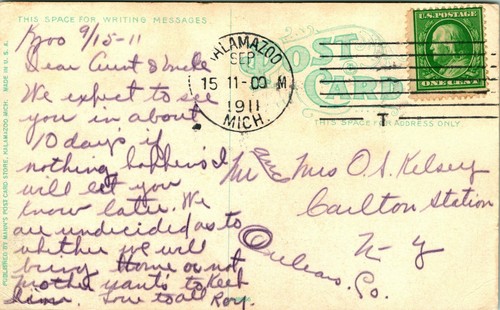 Kalamazoo Michigan MI Celery Field at Kalamazoo 1911 Vintage Postcard - Picture 3 of 3