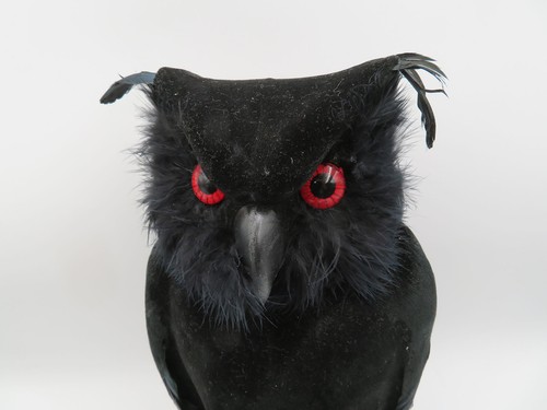Lebensechte schwarze Halloween Eule rote Augen Dekoration - Bild 1 von 8
