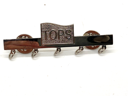A TOPS Weight Loss Achievement Pin Holder - Picture 1 of 6