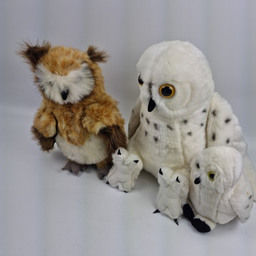 Bundle of 3 Plush Owls – Snowy Owl & Brown Owl Soft Toys Mixed Sizes Cuddly - Picture 1 of 3