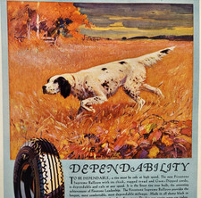 English Setter Hunting Dog Firestone Tires Vintage 1930 Ad Magazine Print