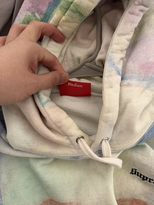 Supreme Landscape Hooded Sweatshirt Hoodie SS18 Size Medium