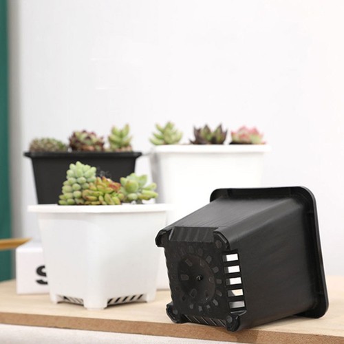 15 Pcs Mini Succulent Pots Garden Flower Planting Small Plastic Nursery - Bild 6 von 12