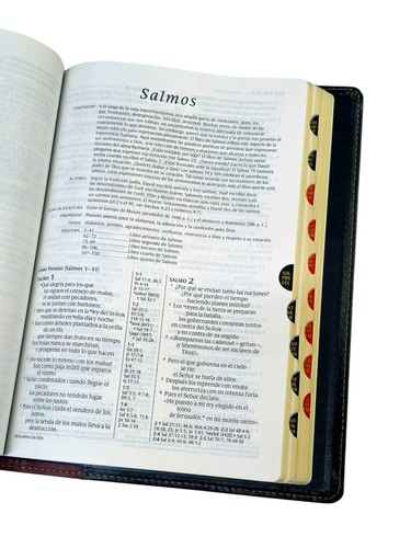 NTV Biblia Referencia Ultrafina Letra Grande Piel Genuina Negro/café Con Índice - Picture 5 of 7