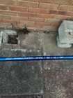 Picture 5 of 6