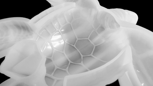 GIANT Sea Turtle Silicone Mold AU - Picture 7 of 9