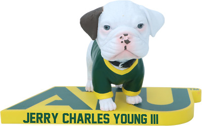 Jerry Charles Young IIIArkansas Tech Wonder Boys & Golden Suns Bobblehead