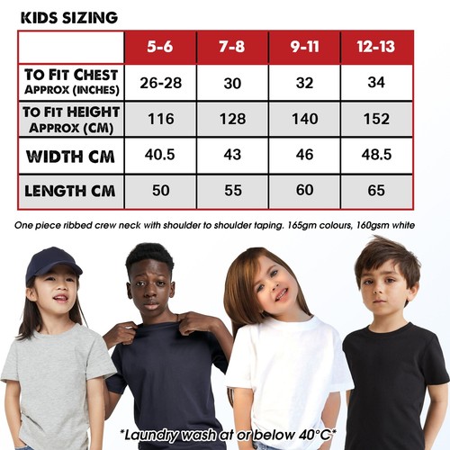 Bartlet For America West Wing Slogan Tshirt Unisex Short Sleeve Classic Fit - Picture 8 of 9