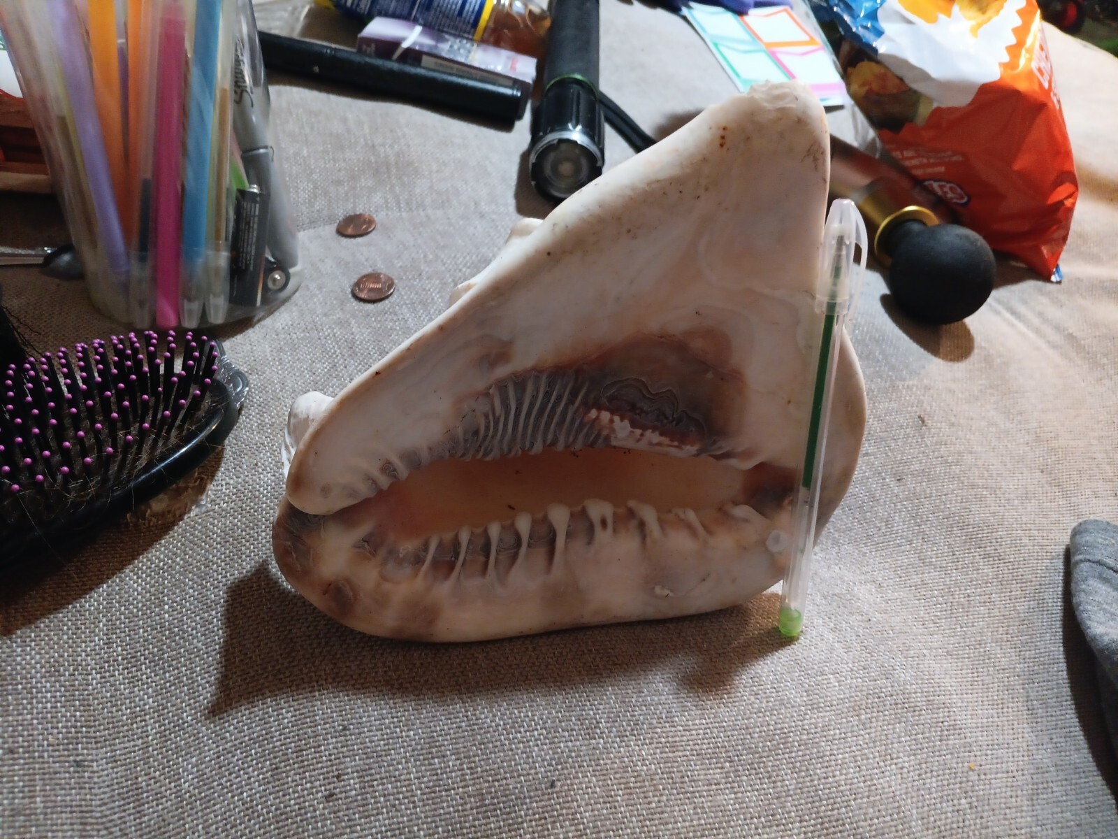 Picture 18 of 20
