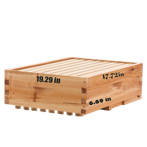 1 Layer Beehive Super Box Deep 10 Frame Wax Langstroth Beekeeping & 10X Frames - Picture 4 of 8