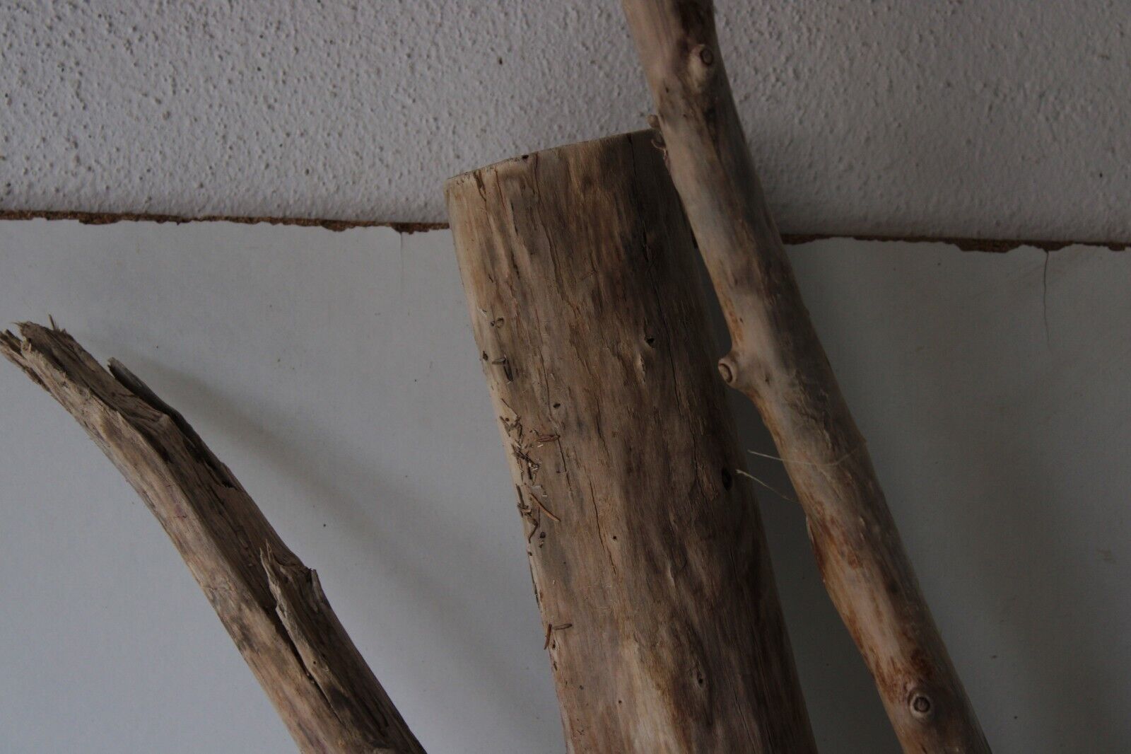Bild 8 von 11