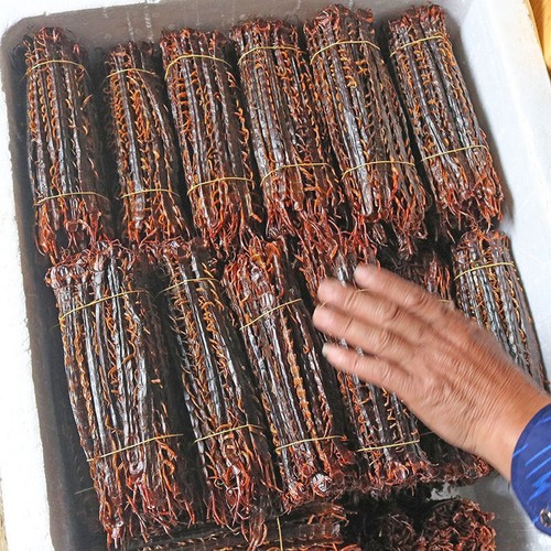 Guangxi Dried Centipede 10g/30g Natural Health - Picture 2 of 3
