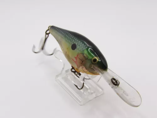 Rapala Fat Rap 3-1/2" in good condition