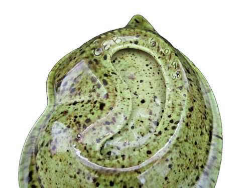 Mid Century Lime Green Ceramic Splatter Paint Ashtray Trinket Dish signed '68 - Picture 5 of 5