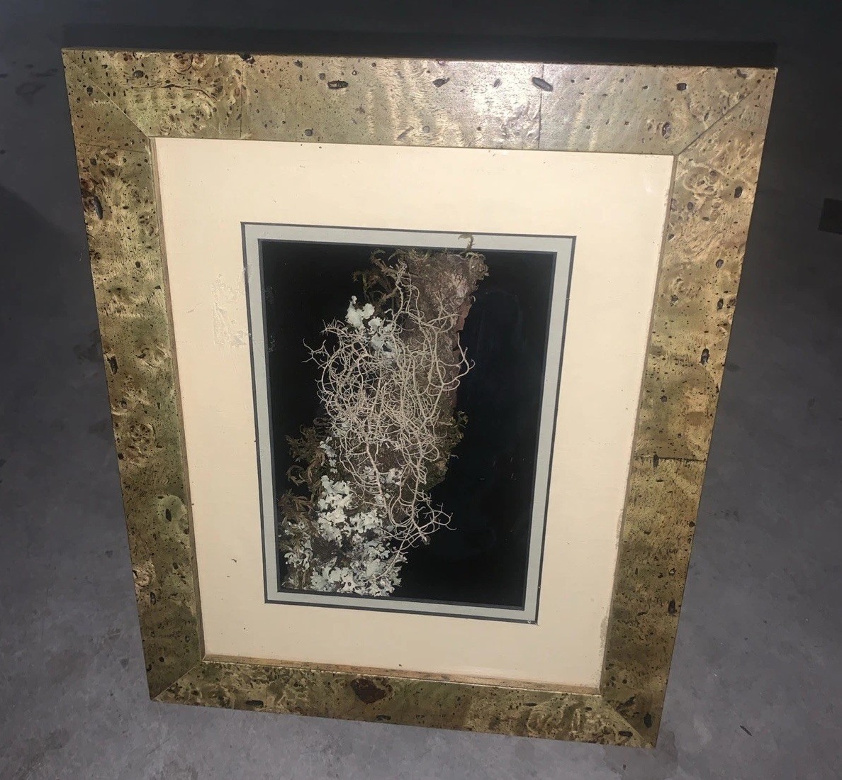 Picture 1 of 5
