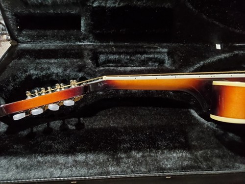 Mandolino Savannah SF100 stile F - custodia grande - Foto 10 di 24