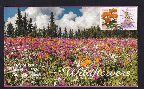 Canada 2024 limited edition private FDC - Wildflowers - sc#3416-3417 - Picture 1 of 1