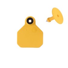 Y-Tex Mini 1* Livestock Identification Tags - Blank Yellow 25ct