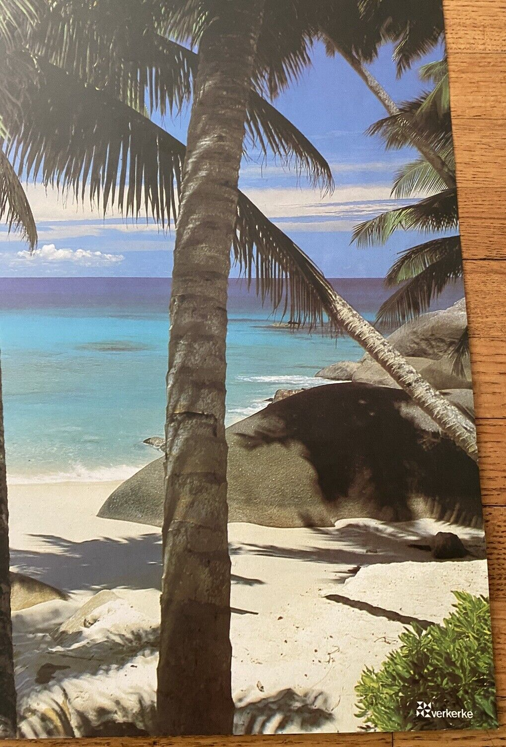 Picture 3 of 8