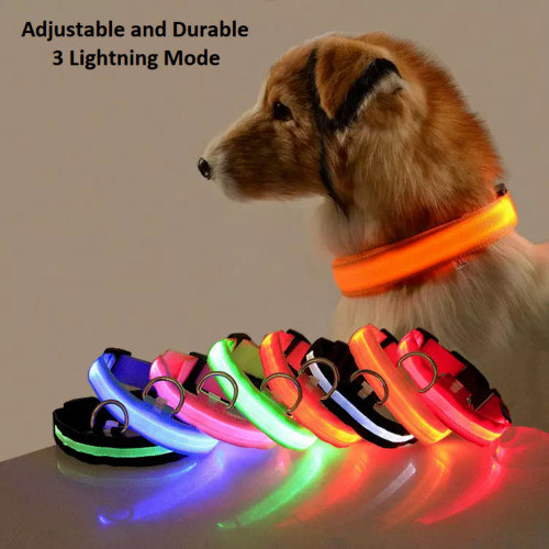 LED USB Rechargeable Collar Adjustable Flashing Nylon Led Dog Cat Pet Collar GU10678 LED USB Rechargeable Collar Adjustable Flashing Nylon Led Dog Cat Pet Collar GU10678