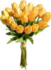 Imagen 11 de 13