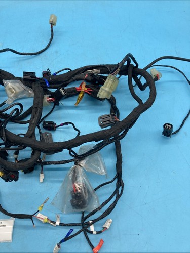 MV Agusta F3 Race wiring harness solo loom for Scott Smart inc GPS - Picture 3 of 5