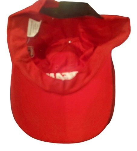 Gorra Team Penske Formula One con correa trasera Ryan Briscoe - Imagen 4 de 4
