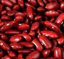 Dark Red Kidney Bush Bean Seeds, Baked Beans and Chili, NON-GMO, FREE SHIPPING