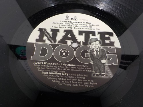 V Nate Dogg I Don't Wanna Hurt No More/Just Another Day 1998 12” Promo Vinyl - Photo 3/6
