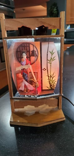 Vintage Japanisches Diorama Geisha beleuchteter Schattenkasten