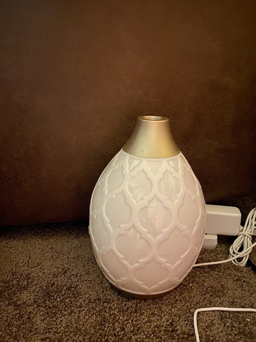 Young Living Essential Oils Desert Mist Color Change Diffuser