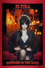 Elvira Mistress of Dark Horror Queen of Halloween Movie Poster 24X36 New  ELVH
