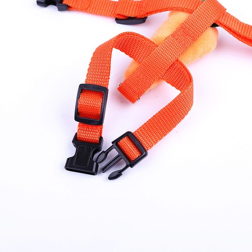 Cat Rabbit Guinea Pig Rat Ferret Harness & Lead Breathable Soft Pet Leash Set US - Picture 9 of 15