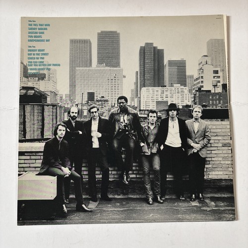 Bruce Springsteen LPs - Bild 3 von 24