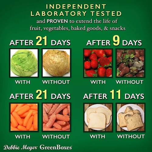 Debbie Meyer GreenBoxes 32 Piece Set – Keeps Fruits, Vegetables, Baked Goods and - Picture 4 of 6