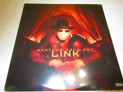 Whatcha Gone Do? LP by Link (1998, Relativity Records) FREE SHIPPING