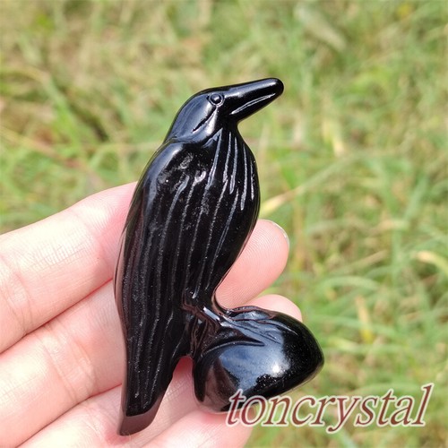 2" Carved Quartz Crystals Skull Bird Natural Obsidian Crow Skull Healing 1pc - Foto 6 di 12
