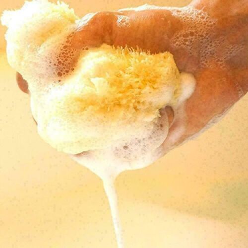 Natural Greek Very Soft Formed Uncut Sea Sponge Sensitive Skin Psoriasis 5'' - Picture 7 of 12