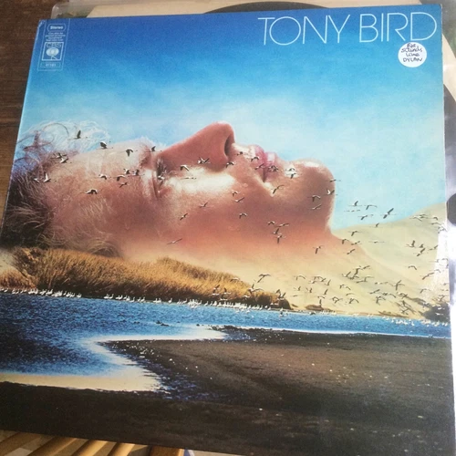 Tony Bird  CBS 81183 vinyl LP 1976 uk 1st press A1B1 'sounds like bob Dylan '