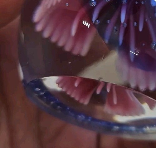 Art Glass Round Window controlled bubble Pink Flower & Blue paperweight 7cms - Picture 6 of 6