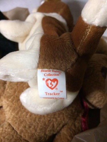 TY BEANIE BABIES RARE Tracker 1997 Beanie Baby with errors. - Picture 2 of 3