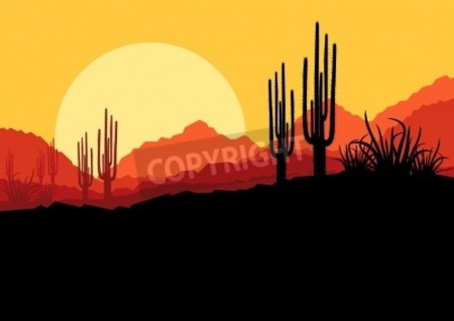 Bild auf Leinwand Desert wild nature landscape with cactus and palm tree p... Bild auf Leinwand Desert wild nature landscape with cactus and palm tree p...