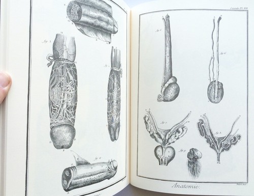 DIDEROT/d'Alembert 1700's/Antique HUMAN ANATOMY ILLUSTRATIONS - MANY PLATES - Picture 12 of 12