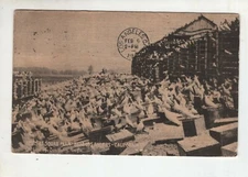 Antique Post Card - Nests at Squab Farm near Los Angeles - SPRR - Posted 1912