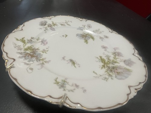 Haviland France Limoges Schleiger 79 - 9 1/2” Diameter Plate Pink& Blue Floral - Picture 11 of 11