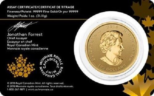 1 oz 200$ Kanada Goldmünze Call of the Wild Roaring Grizzly 2016 Originalblister - Picture 4 of 4
