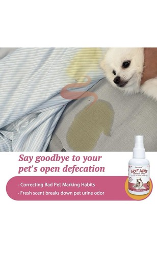 Petstoral Dog Not Here & Here Potty Training Spray Kit Puppy Essentials 1.69 oz - Picture 8 of 12